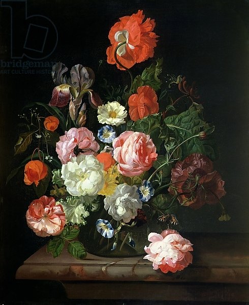 Flower in a glass vase