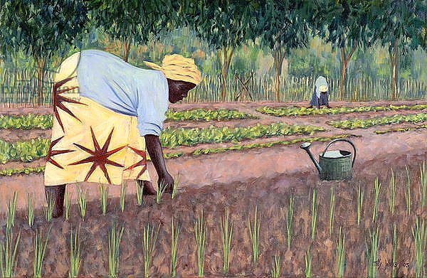 Planting Onions, 2005
