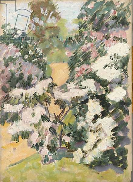 Blossom, c.1900