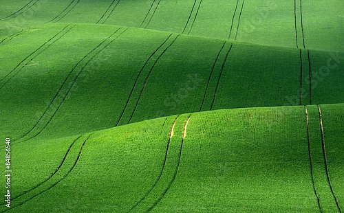 Чехия. Зеленые поля Моравии