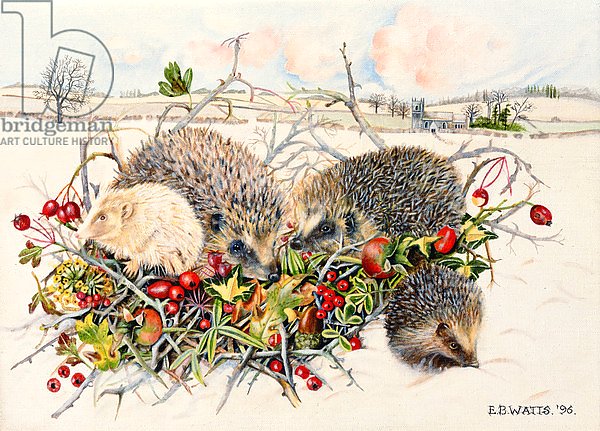 Постер Уоттс Э. (совр) Hedgehogs in Hedgerow Basket, 1996