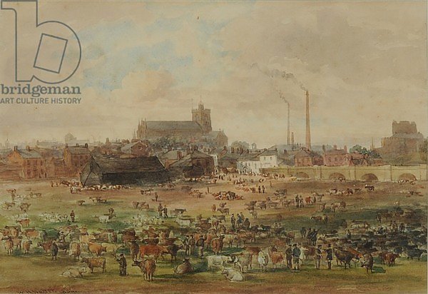 The Sands, Carlisle - The Cattle Market, 1864