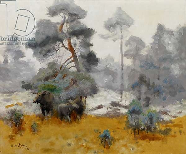Moose Family Entering a Clearing, 1930