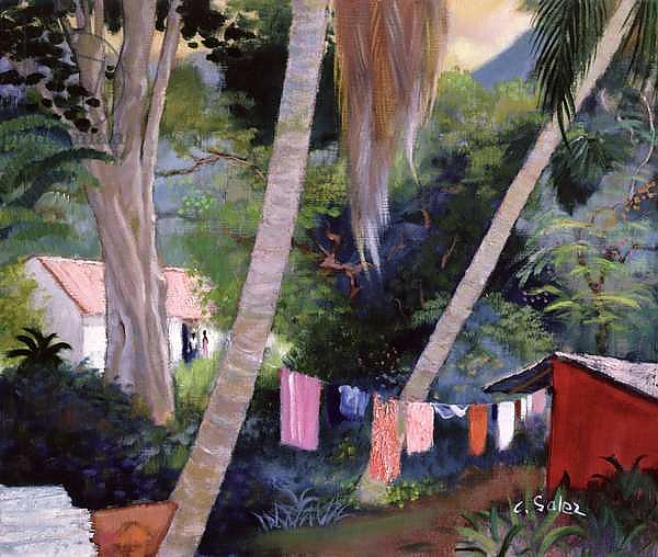 Drying Washing, Guadeloupe
