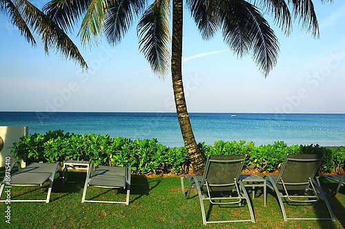 Вид на море из отеля с шезлонгами и пальмами