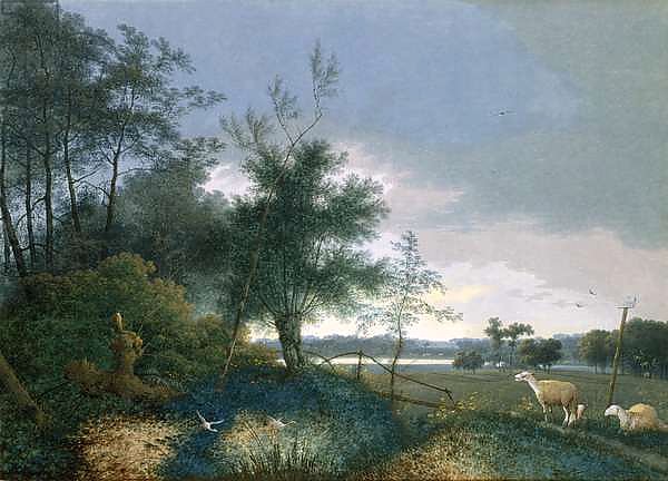 Landscape with a fox chasing geese