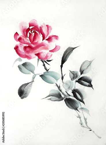 Красная китайская роза 1