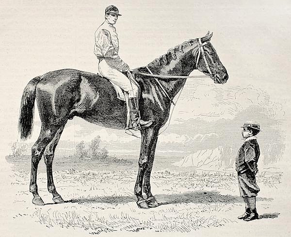 Suzerain, winner of the Prix du Jockey Club (Derby) in 1868. Created by Janet-Lange and Dutheil, pub
