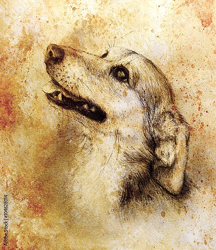 Собака, рисунок карандашом на старой бумаге