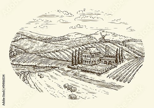 Эскиз пейзажа с виноградниками и фермой