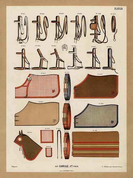 Хромолитография дизайна конного снаряжения из антикварного каталога верховой езды (1890)