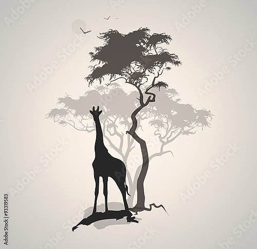 Жираф 2