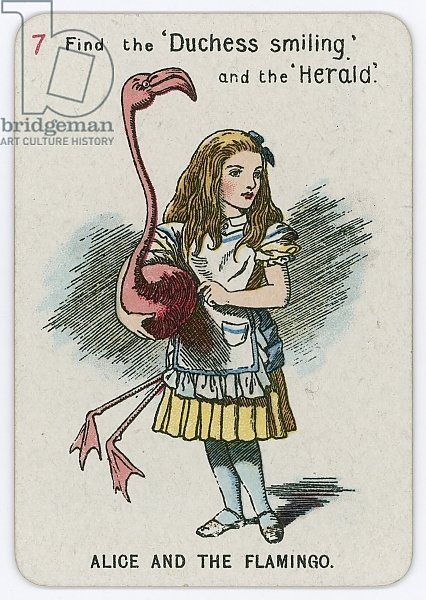 Alice and the Flamingo