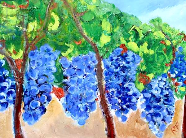 Grapes on the Vine, 2017,