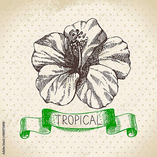Иллюстрация с тропическим цветком