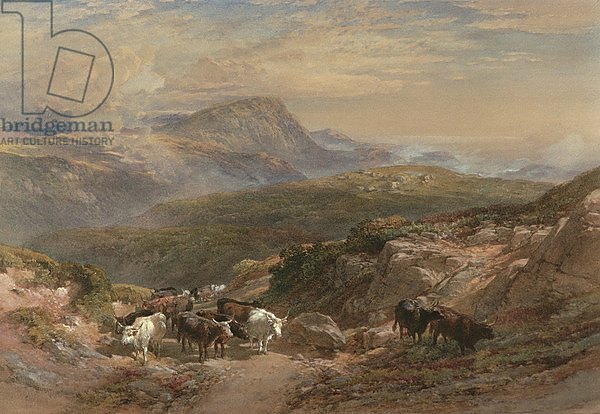 Scene in the Highlands, 19th century