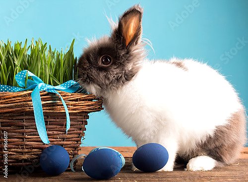 Кролик с синими яйцами и корзинкой травы