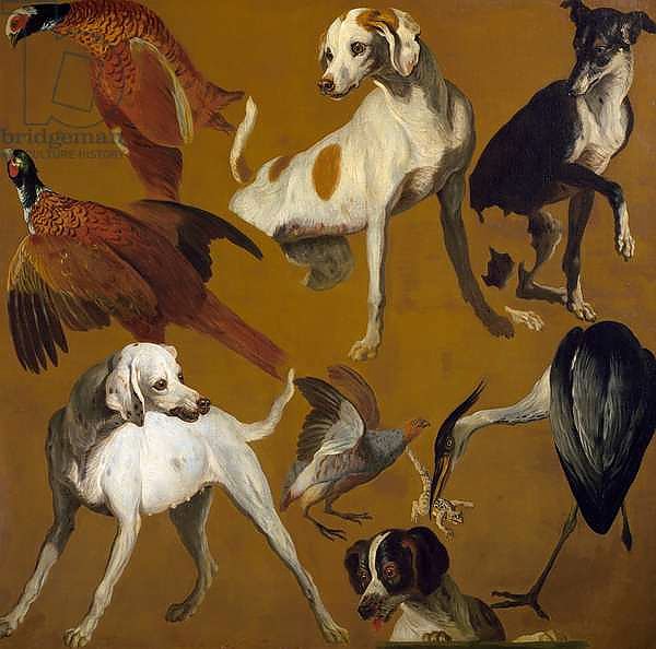 Study of birds and dogs, by Alexandre-Francois Desportes, France, 18th century