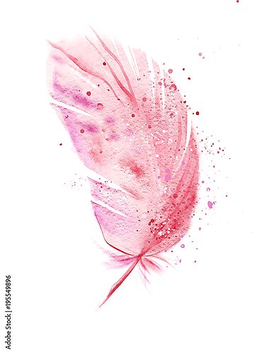 Акварельное розовое перо