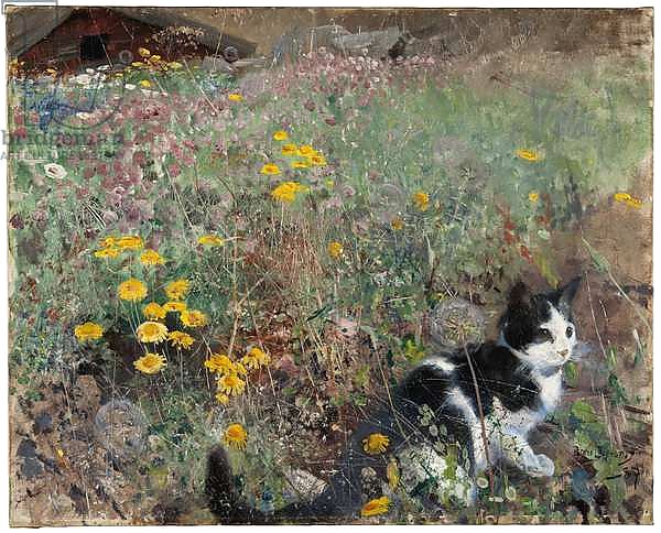 Cat on a flowery meadow, 1887