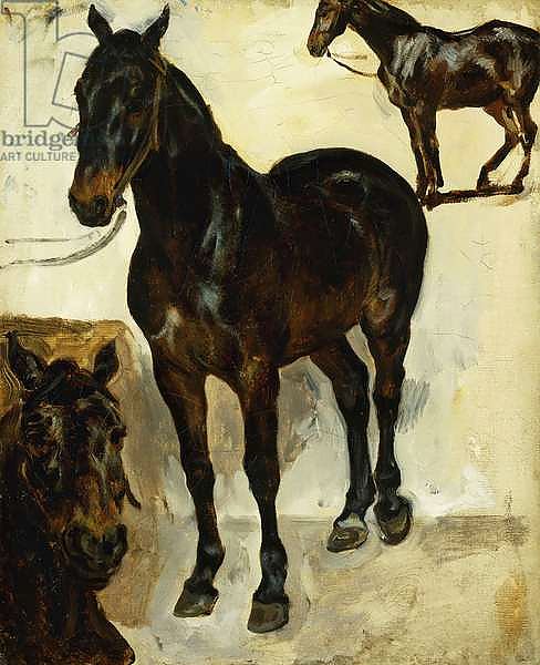 Three Studies of Horses; Trois Etudes de Chevaux, c.1823
