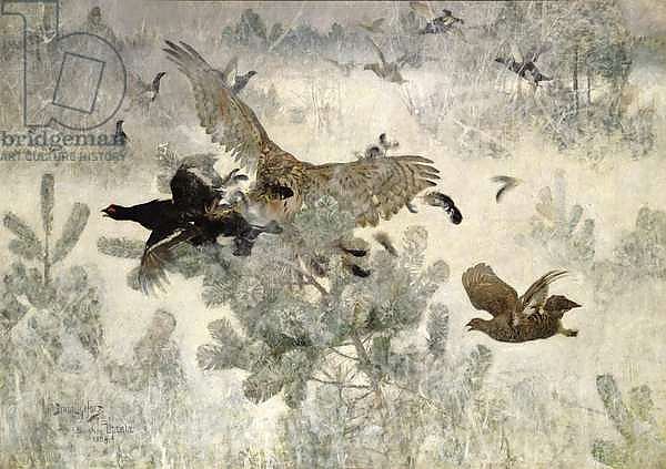 Hawk and Black Game, 1884