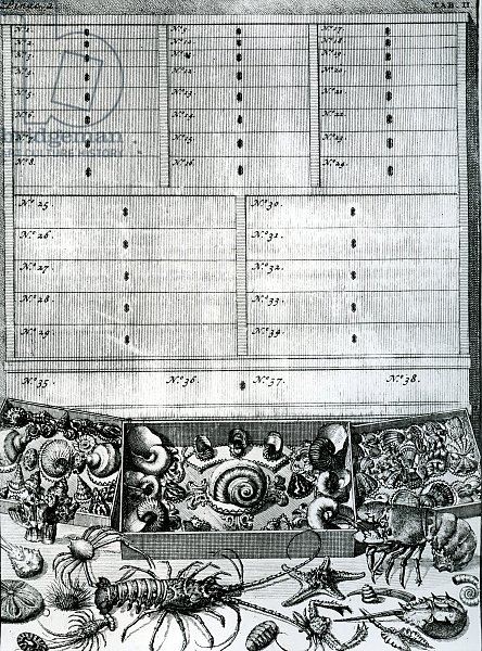 Table II from 'Elenchus Tabularum' by Levinus Vincent, published 1719