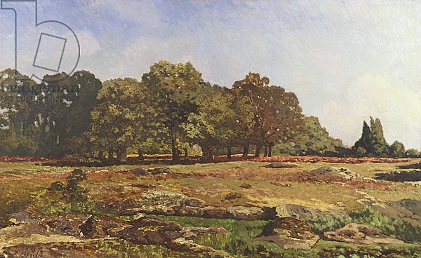 Avenue of Chestnut Trees at La Celle-Saint-Cloud, c.1866-67