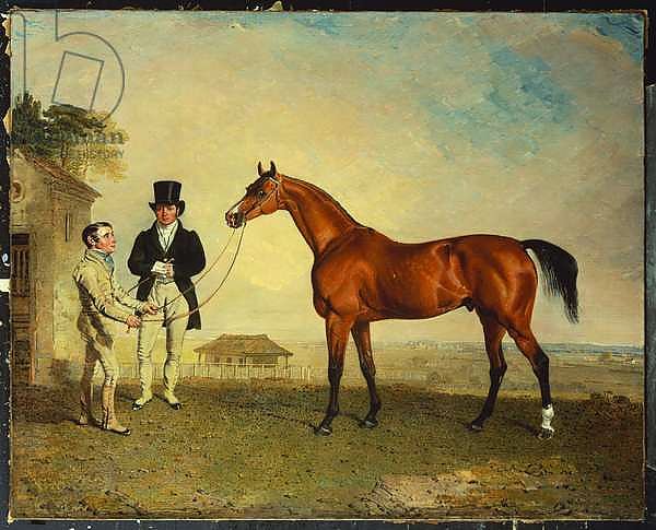 'Skiff', a bay Racehorse held by a Groom on Newmarket Heath, with John Howe, the owner of the Stables, at his side, 1829