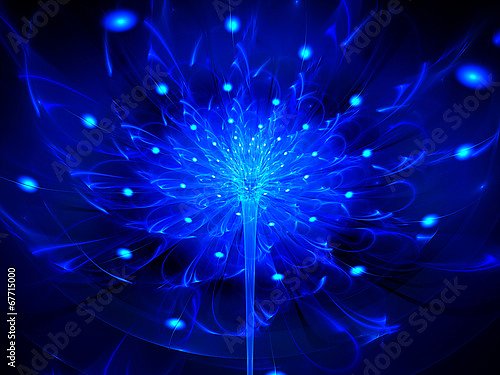 Синий раскрытый цветок