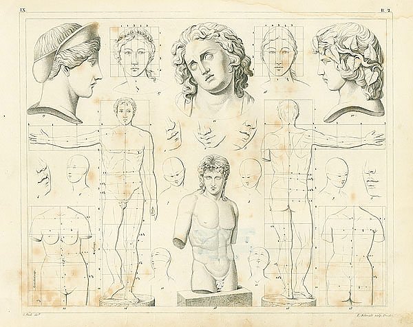Iconographic Encyclopedia: пропорции тела и лица человека