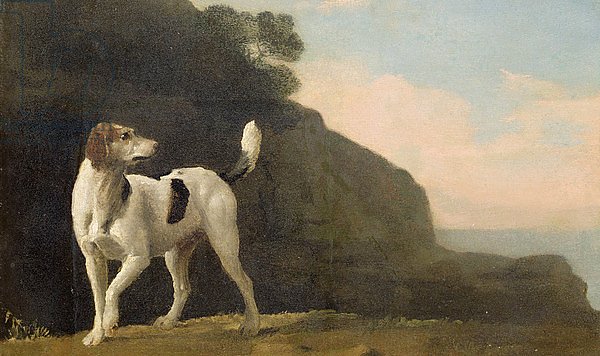 A Foxhound, c.1760