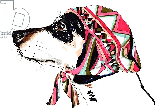 Pooch In Pucci, 2012