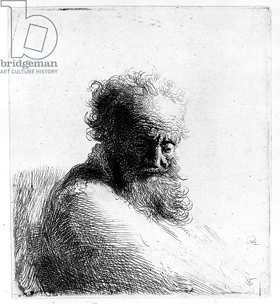 Head of an old man, 1631