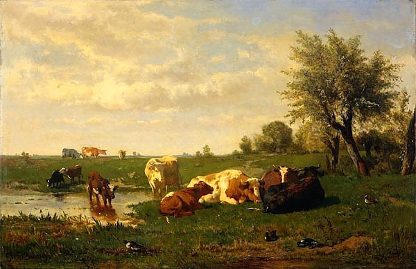 Koeien in de weide