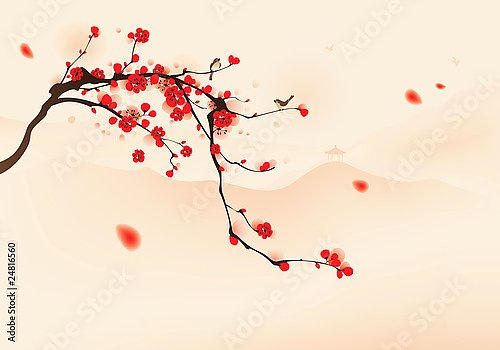 Ветвь цветущей сакуры