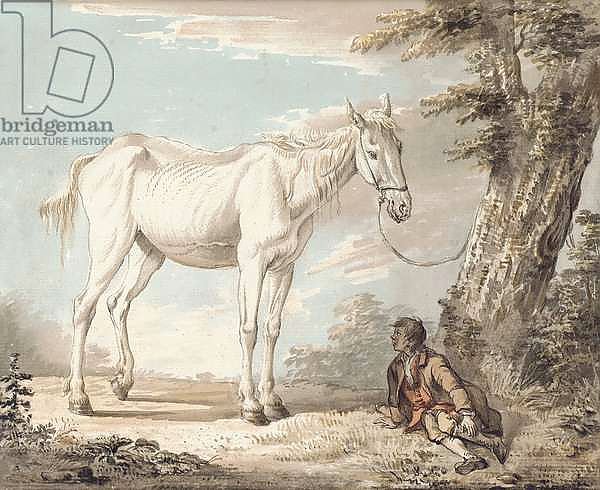 An Old Grey Horse Tethered to a Tree, a Boy resting nearby