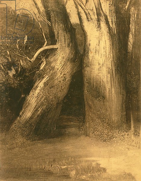 Two Trees, c.1875