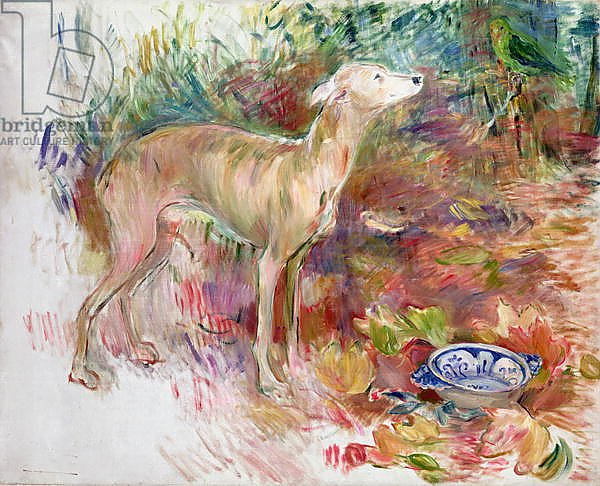 Laerte the Greyhound, 1894