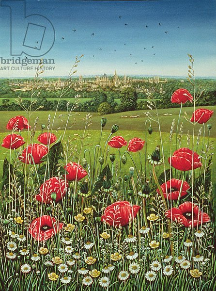 Oxford / Poppies, 1983