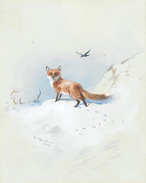 A fox darting through the snow