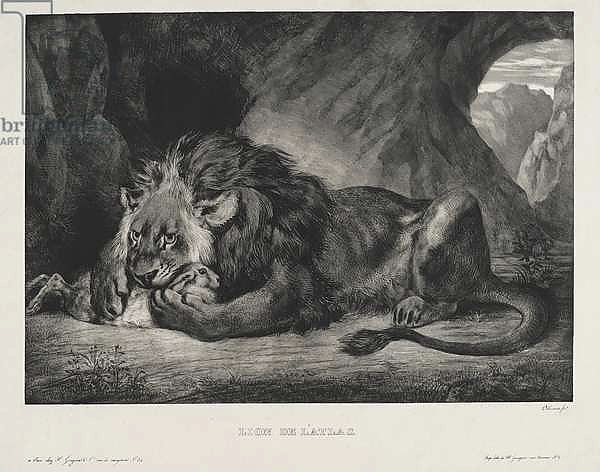 Lion de l'Atlas, 1829