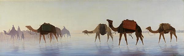Верблюды, пересекающие воду