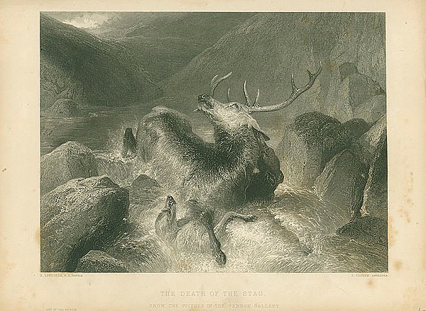 Смерть оленя