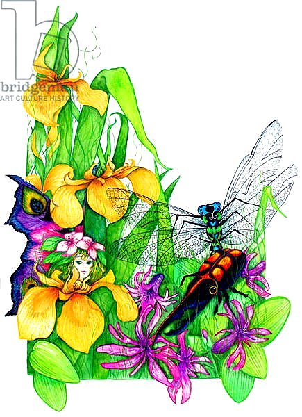 Fairy, Dragonfly and Beetle