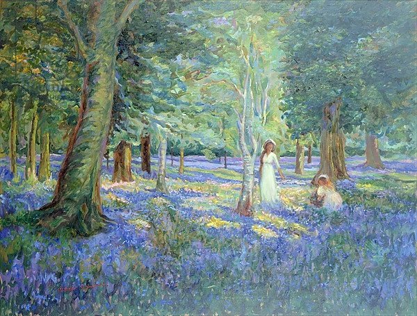 Bluebell Wood, 1908