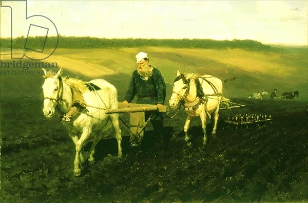 The writer Lev Nikolaevich Tolstoy ploughing with horses, 1889