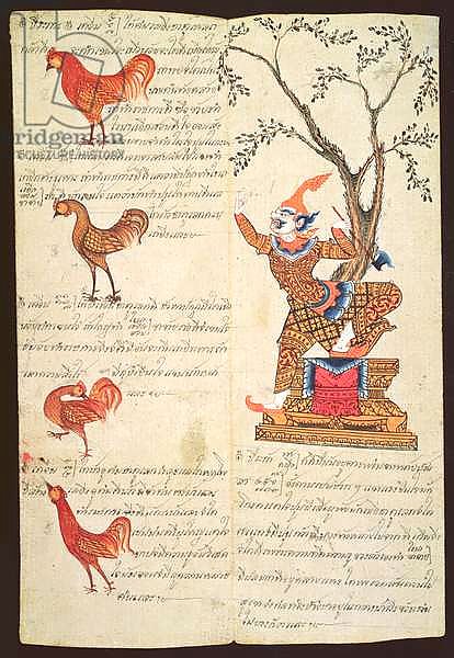 CBL Thi 1302 Two pages illustrating the Year of the Cockerel, from a fortune-telling manual, c.1840