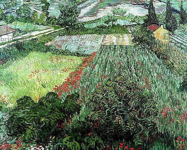 Field with Poppies, 1889