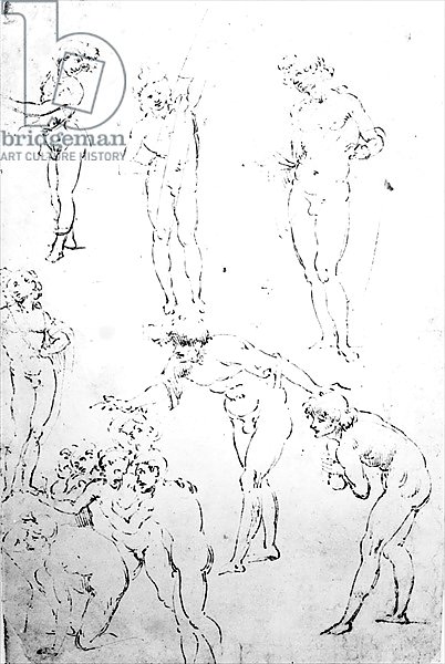 Figural Studies for the Adoration of the Magi, c.1481 2